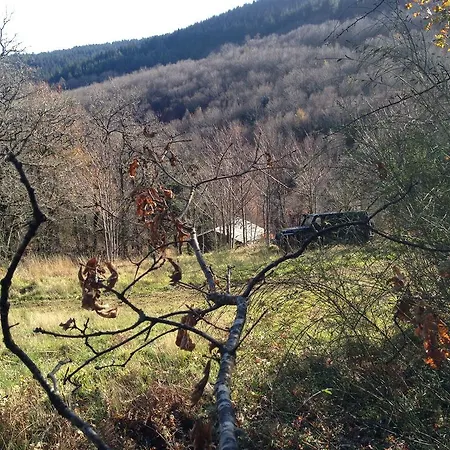 Monte Do Ribeirinho Farm stay *