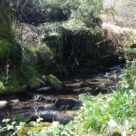 Farm stay Monte Do Ribeirinho Vila Real