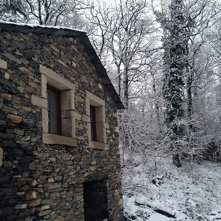 Monte Do Ribeirinho Farm stay